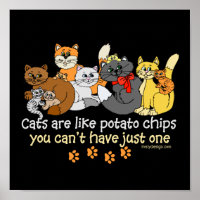 Cats are like potato chips