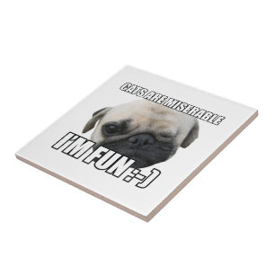 CATS ARE MISERABLE I'M FUN :-) MEME TILE