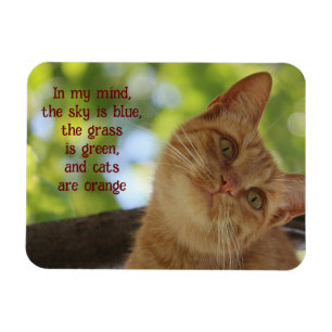 Cats Are Orange Magnet