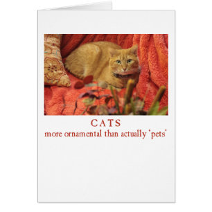 Cats are Ornamental