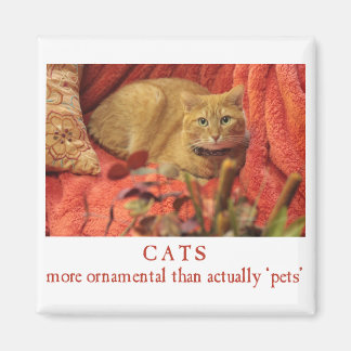 Cats are Ornamental Magnet