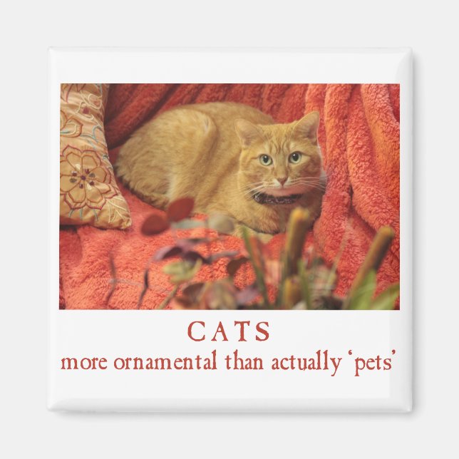 Cats are Ornamental Magnet (Front)