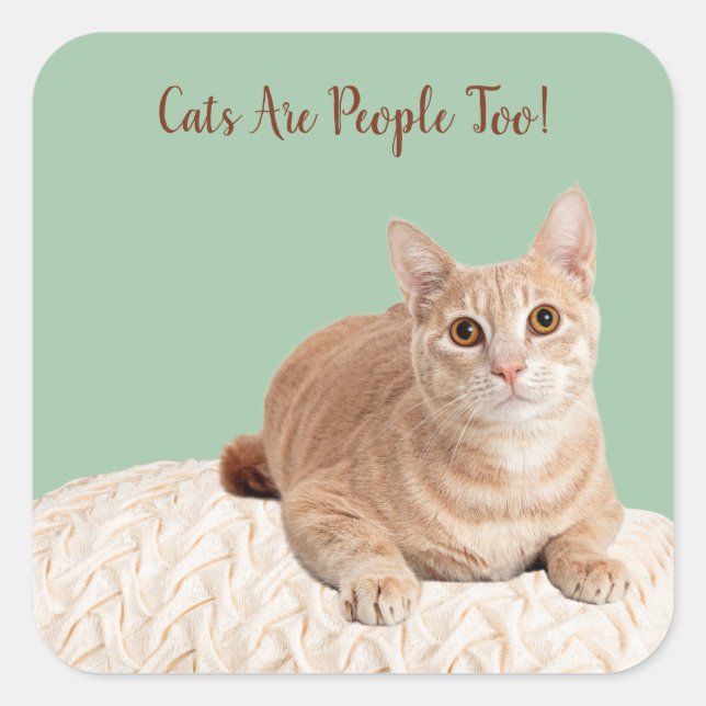 Cats Are People Too Stickers (Front)