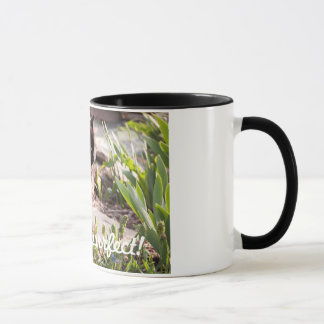 CATS ARE PURFFECT COFFEE MUG