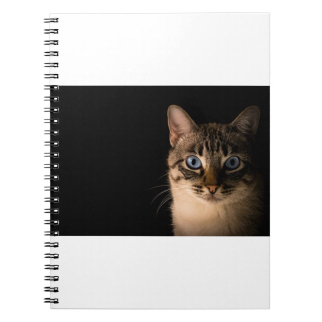 Cats Are The Best 20 Notebook (Front)