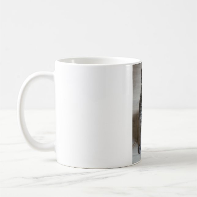 Cats Are The Best 57 Coffee Mug (Left)