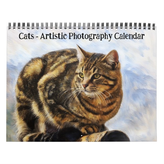 Cats Artistic Photography Calendar (Cover)