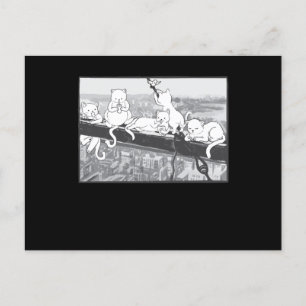 Cats Atop A Skyscraper Lunch Parody Cats Kitten Postcard