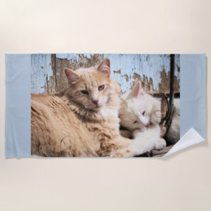 Cats beach towel