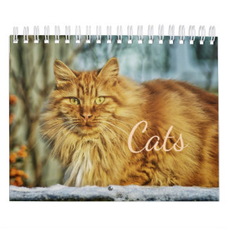 Cats Calendar