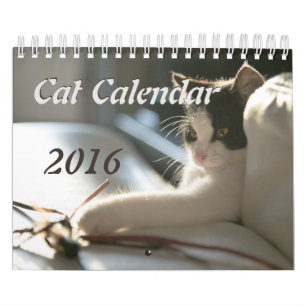 Cats Calendar