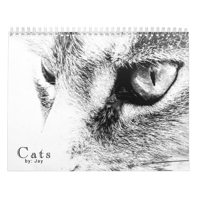 Cats Calendar (Cover)