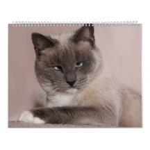 Cats Calendar