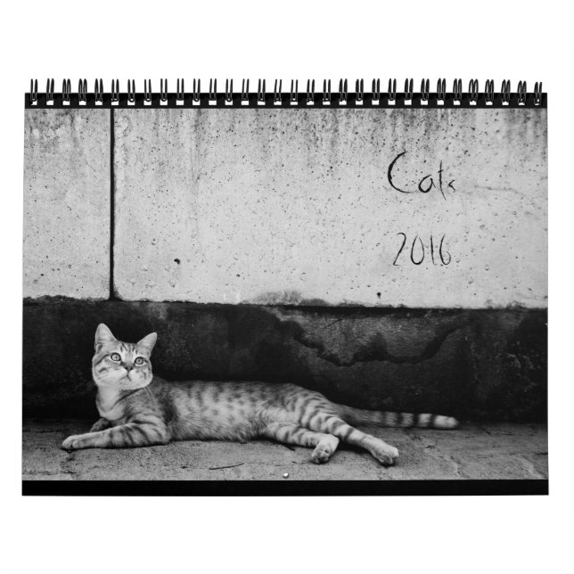 Cats - Calendar 2016 (Cover)