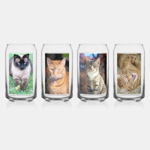 Cats Can Glass
