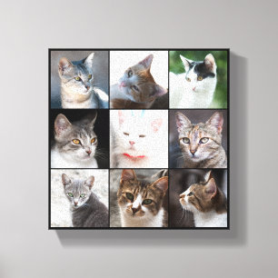 CATS CANVAS PRINT