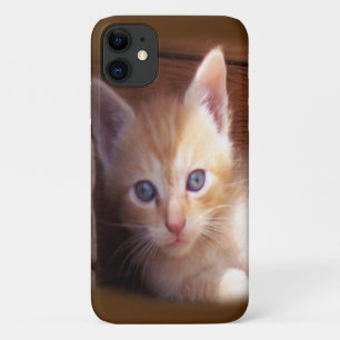 Cats Case-Mate iPhone Case