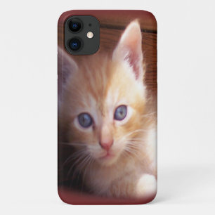 Cats Case-Mate iPhone Case