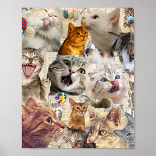 Cats cats cats... Cat Collage Poster