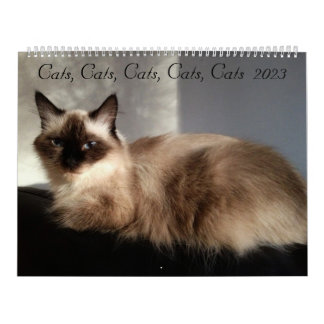 Cats, Cats, Cats, Cats, Cats  2023 Calendar