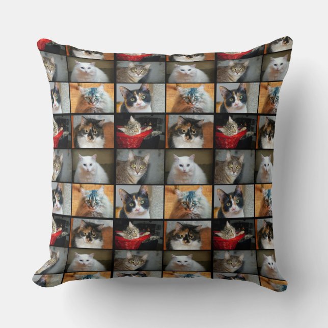 Cats Cats Cats Cushion (Front)