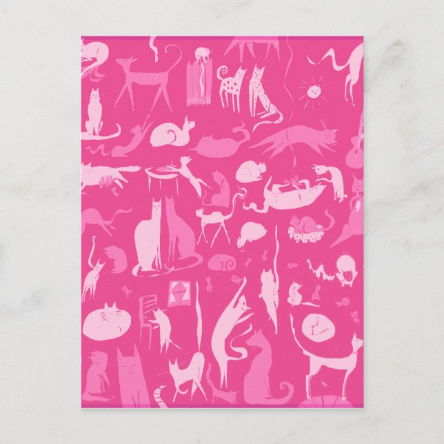 Cats! Cats! Cats! Postcard (Front)