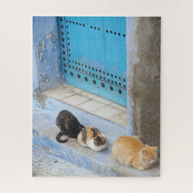 Cats, Chefchaouen, Morocco Jigsaw Puzzle (Vertical)