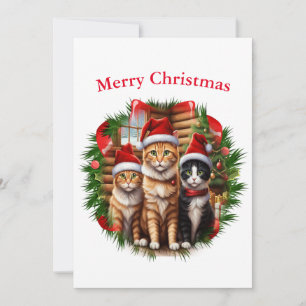 Cats Christmas cards