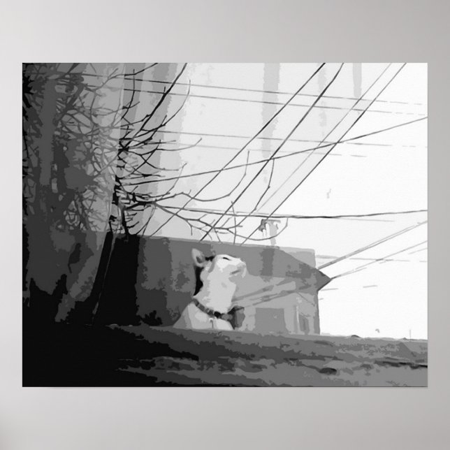 Cat's Cradle Poster (Front)