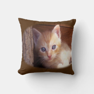 Cats Cushion
