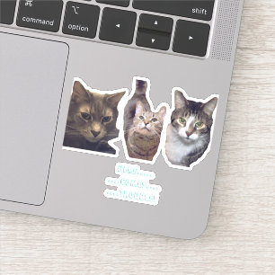 Cats Custom-Cut Vinyl Sticker