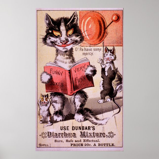 Cats Diarrhea Mixture Poster (Front)