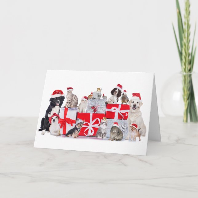 Cats & Dogs & Pets - Christmas Card (Front)