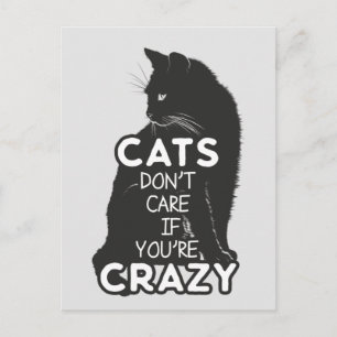 Cats Don't Care if You're Crazy Postcard