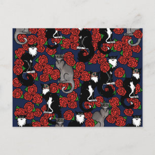 Cats everywhere postcard
