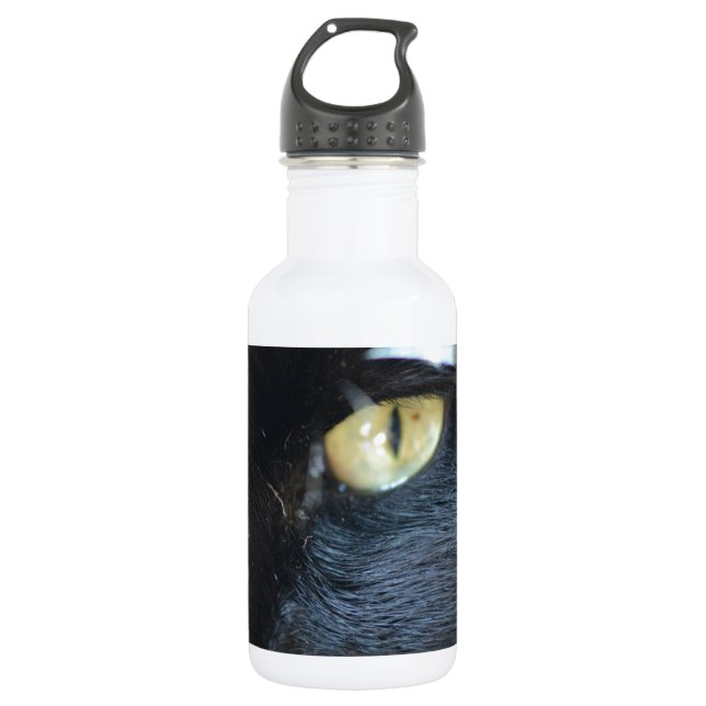 Cat's Eyeing You 532 Ml Water Bottle (Front)