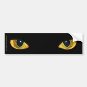 CAT'S EYES BUMPER STICKER
