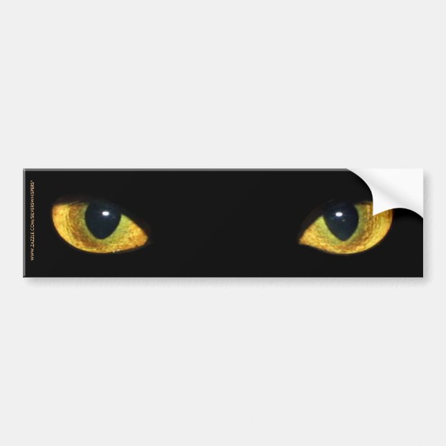 CAT'S EYES BUMPER STICKER (Front)
