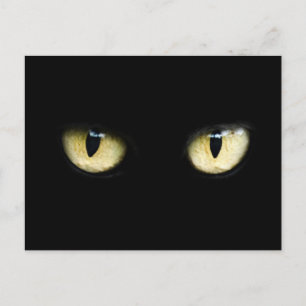 Cat's Eyes Postcard