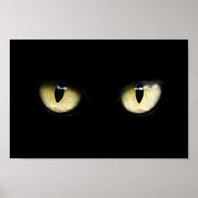 Cat's Eyes Poster (Front)