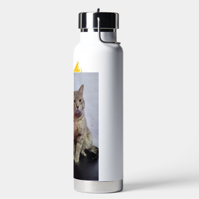 cat's face water bottle (Left)