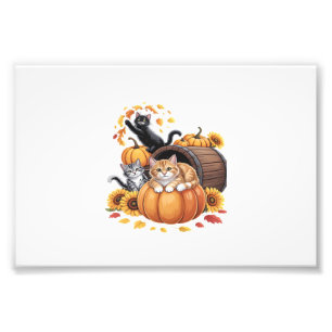 Cats Fall Autumn Pumpkins Thanksgiving Sunflower O Photo Print