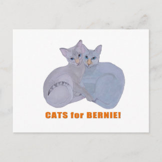 Cats for Bernie! Postcard
