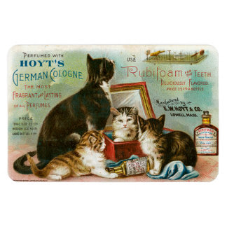 Cats for Hoyt's Magnet