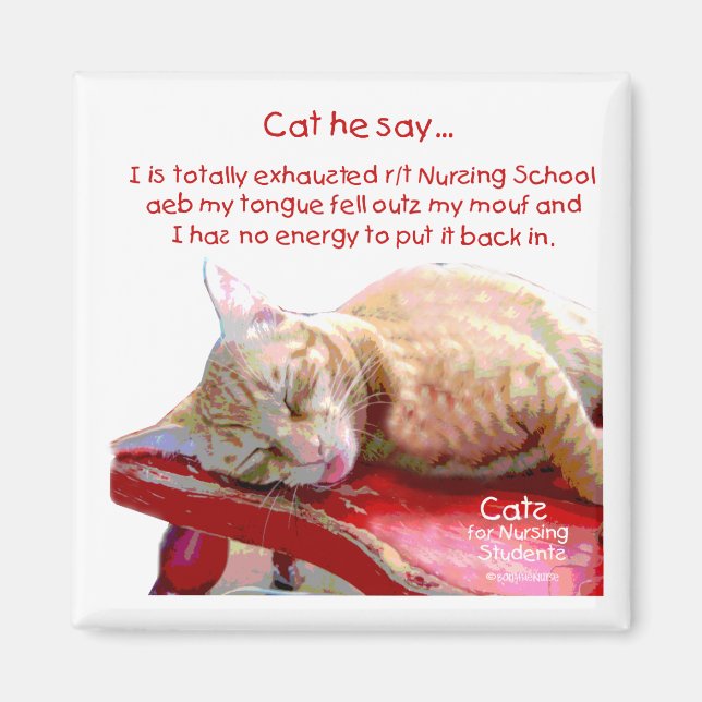 Cats for Nursing Students - Exhausted Magnet (Front)