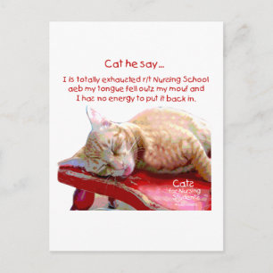 Cats for Nursing Students - Exhausted Postcard
