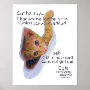 Cats for Nursing Students - I has Sinking Feeling Poster