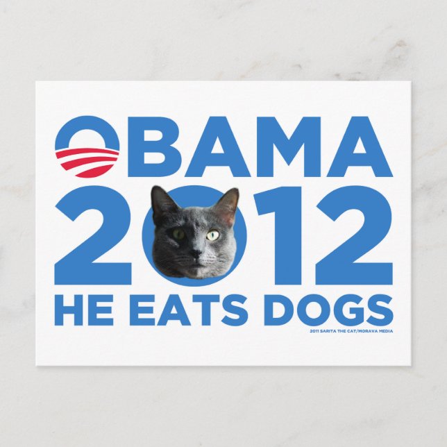 Cats For Obama Postcard (Front)