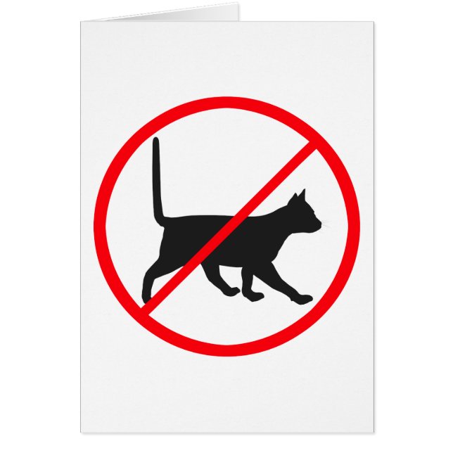 Cats Forbidden! (Front)