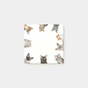 Cats   Funny Cat Lover Post-it Notes